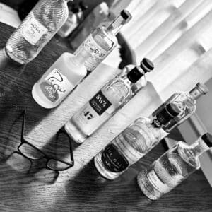 SCOTTISH GIN EXPERIENCE